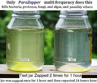 zaps microbes quickly